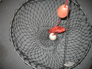 DELUXE LOBSTER & CRAB HOOP NET 32
